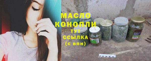 спиды Богородицк