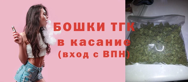 спиды Богородицк
