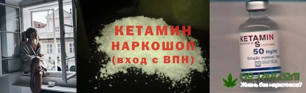 спиды Богородицк