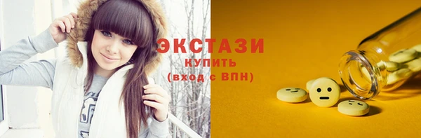спиды Богородицк