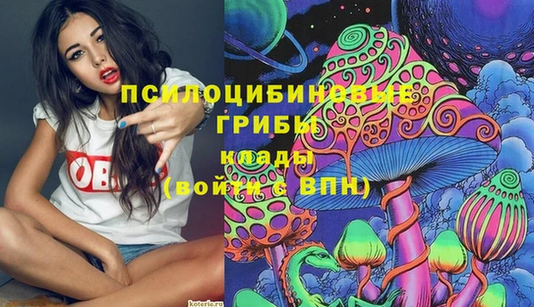 спиды Богородицк