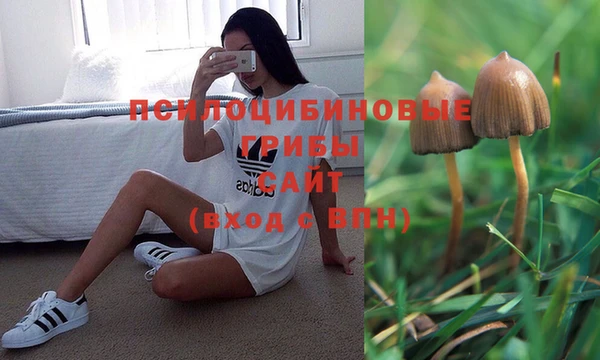 экстази Богородск