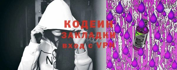 спиды Богородицк