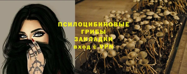 спиды Богородицк